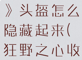 《狂野之心》头盔怎么隐藏起来(狂野之心收集攻略)