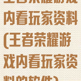 王者荣耀游戏内看玩家资料(王者荣耀游戏内看玩家资料的软件)