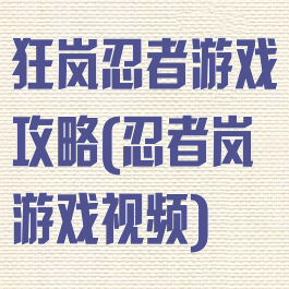 狂岚忍者游戏攻略(忍者岚游戏视频)