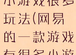 网易有一款小游戏很多玩法(网易的一款游戏有很多小游戏)