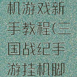 三国志挂机游戏新手教程(三国战纪手游挂机脚本)