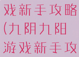 九阴九阳游戏新手攻略(九阴九阳游戏新手攻略大全)