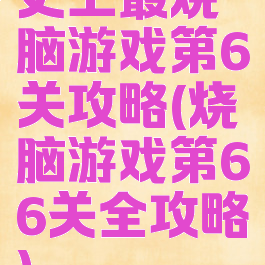 史上最烧脑游戏第6关攻略(烧脑游戏第66关全攻略)