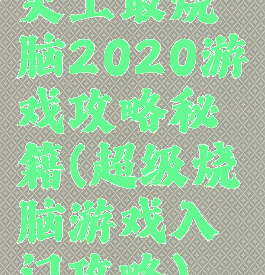 史上最烧脑2020游戏攻略秘籍(超级烧脑游戏入门攻略)