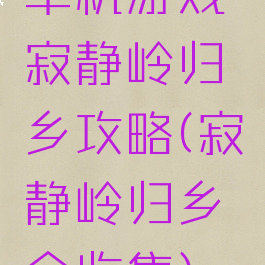 单机游戏寂静岭归乡攻略(寂静岭归乡全收集)