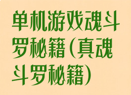 单机游戏魂斗罗秘籍(真魂斗罗秘籍)