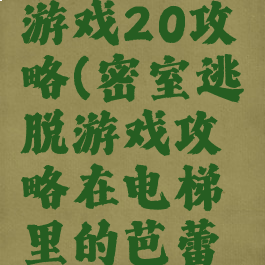 密室逃脱游戏20攻略(密室逃脱游戏攻略在电梯里的芭蕾舞者)