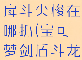 宝可梦剑盾戽斗尖梭在哪抓(宝可梦剑盾斗龙哪里抓)