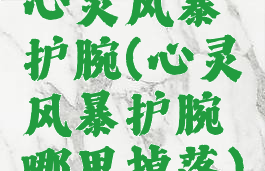 心灵风暴护腕(心灵风暴护腕哪里掉落)