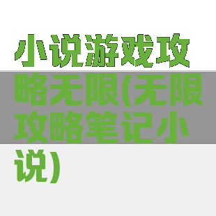 小说游戏攻略无限(无限攻略笔记小说)