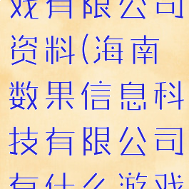 广州数果游戏有限公司资料(海南数果信息科技有限公司有什么游戏)