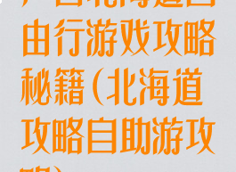 广西北海道自由行游戏攻略秘籍(北海道攻略自助游攻略)