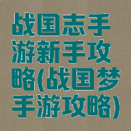 战国志手游新手攻略(战国梦手游攻略)