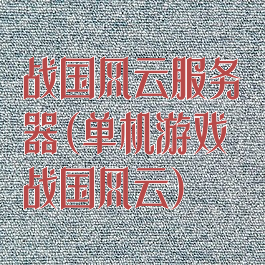 战国风云服务器(单机游戏战国风云)