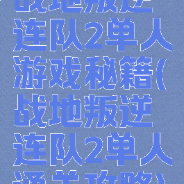 战地叛逆连队2单人游戏秘籍(战地叛逆连队2单人通关攻略)