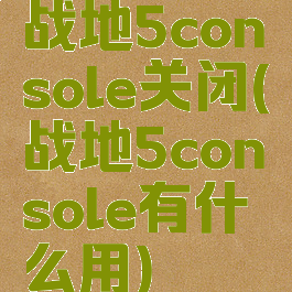 战地5console关闭(战地5console有什么用)