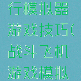 战斗机飞行模拟器游戏技巧(战斗飞机游戏模拟驾驶)