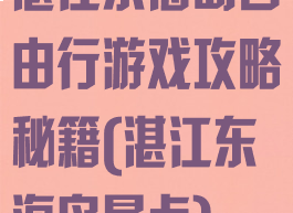 湛江东海岛自由行游戏攻略秘籍(湛江东海岛景点)