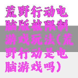 荒野行动电脑版被限制游戏玩法(荒野行动是电脑游戏吗)