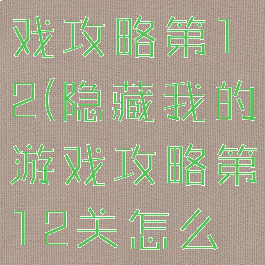 隐藏我的游戏攻略第12(隐藏我的游戏攻略第12关怎么过)