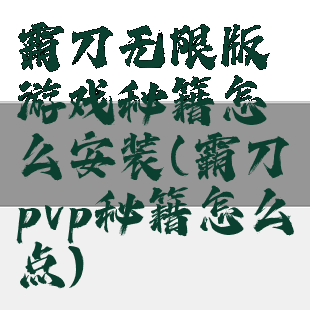 霸刀无限版游戏秘籍怎么安装(霸刀pvp秘籍怎么点)