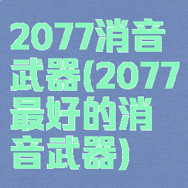 2077消音武器(2077最好的消音武器)