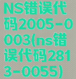 NS错误代码2005-0003(ns错误代码2813-0055)