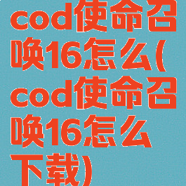 cod使命召唤16怎么(cod使命召唤16怎么下载)