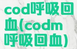 cod呼吸回血(codm呼吸回血)