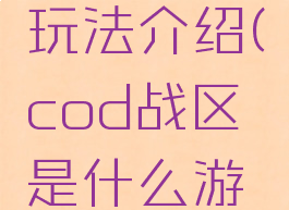 cod战区玩法介绍(cod战区是什么游戏)