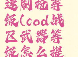 cod战区快速刷枪等级(cod战区武器等级怎么提升)