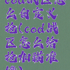 cod战区怎么自定义枪(cod战区怎么给枪加瞄准镜)