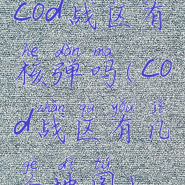 cod战区有核弹吗(cod战区有几个地图)