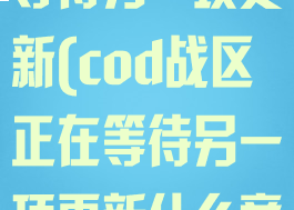 cod战区正在等待另一项更新(cod战区正在等待另一项更新什么意思)