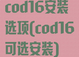 cod16安装选项(cod16可选安装)