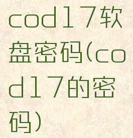 cod17软盘密码(cod17的密码)