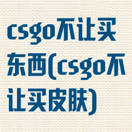 csgo不让买东西(csgo不让买皮肤)