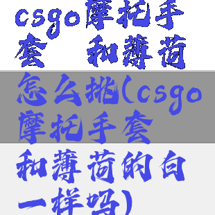 csgo摩托手套嘭和薄荷怎么挑(csgo摩托手套嘭和薄荷的白一样吗)