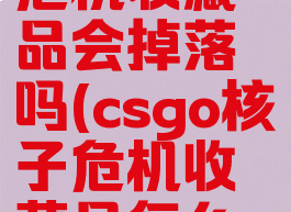 csgo核子危机收藏品会掉落吗(csgo核子危机收藏品怎么得)