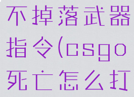 csgo死亡不掉落武器指令(csgo死亡怎么打字)