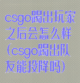 csgo踢出玩家之后会怎么样(csgo踢出队友能投降吗)