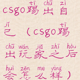 csgo踢出自己(csgo踢出玩家之后会怎么样)