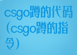 csgo蹲的代码(csgo蹲的指令)