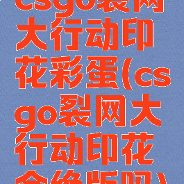 csgo裂网大行动印花彩蛋(csgo裂网大行动印花会绝版吗)