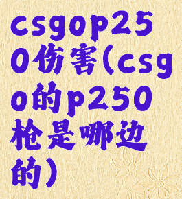 csgop250伤害(csgo的p250枪是哪边的)