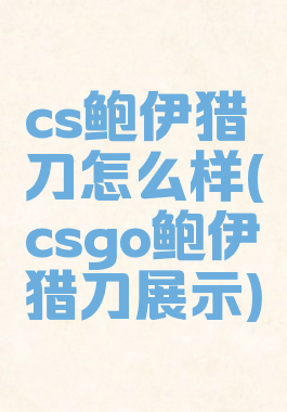 cs鲍伊猎刀怎么样(csgo鲍伊猎刀展示)