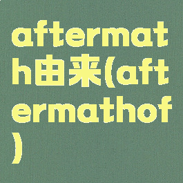 aftermath由来(aftermathof)