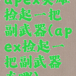 apex英雄捡起一把副武器(apex捡起一把副武器在哪)