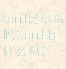 bird是小鸟吗(bird指什么鸟)