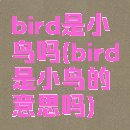 bird是小鸟吗(bird是小鸟的意思吗)